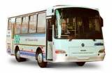  4235-33 "" -